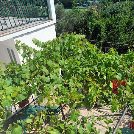 Apartment Jo Dubrovnik Eksteriør bilde